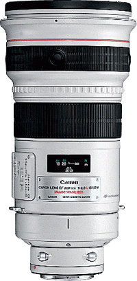 image objectif Canon 300 EF 300mm f/2.8L IS USM pour Canon