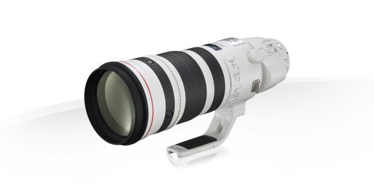 image objectif Canon 200-400 EF 200-400mm f/4L IS USM Extender 1.4x pour Panasonic