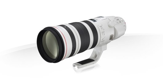 image objectif Canon 200-400 EF 200-400mm f/4L IS USM Extender 1.4x pour panasonic